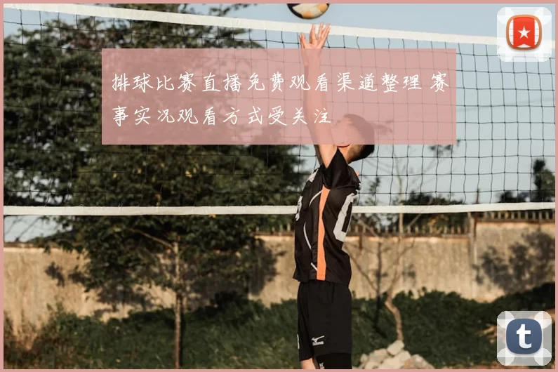 排球比赛直播免费观看渠道整理 赛事实况观看方式受关注