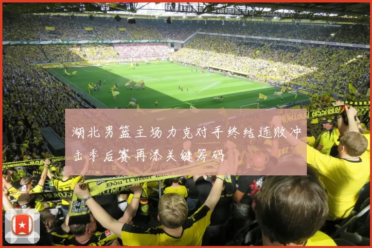 湖北男篮主场力克对手终结连败冲击季后赛再添关键筹码