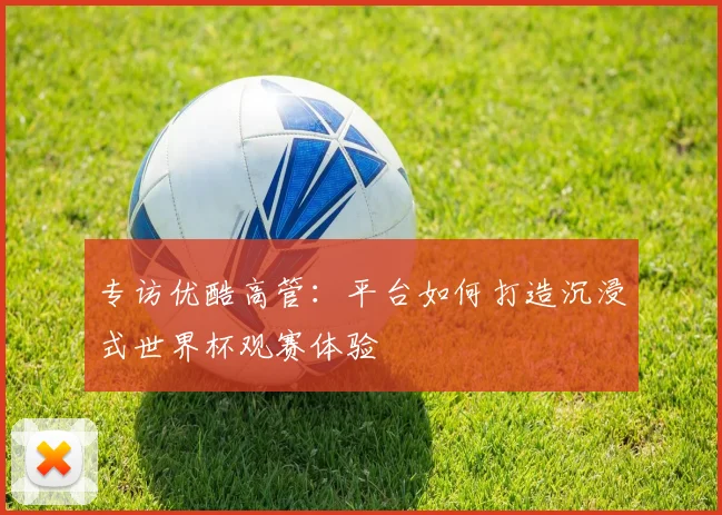 专访优酷高管：平台如何打造沉浸式世界杯观赛体验
