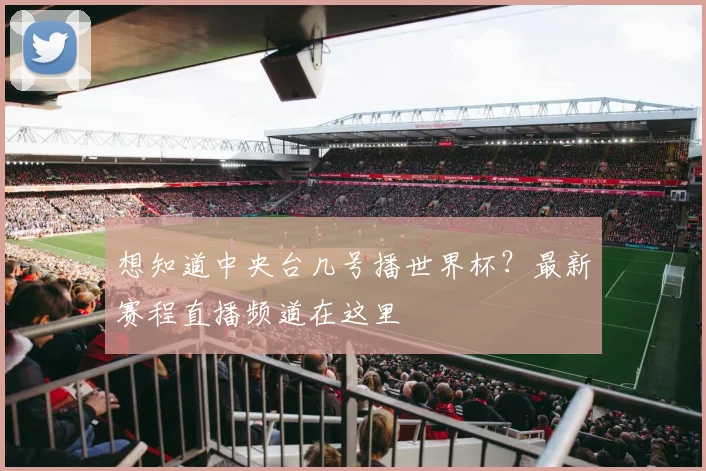 想知道中央台几号播世界杯？最新赛程直播频道在这里